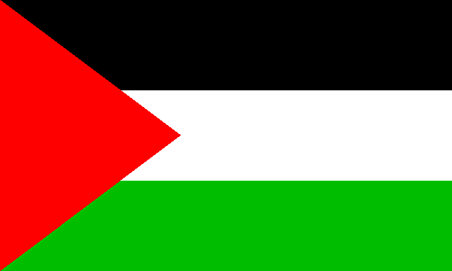 巴勒斯坦 