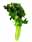 09130576: Celeri Branche France Cat 1 1pc
