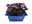 09133951: Purple Shiso Cress Netherlands 1pot