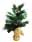 09134880: Plastic Christmas Tree Tarrington House 60cm 1pc