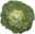 07862297: White Cabbage 15kg