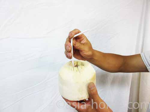 coconut-manuals-5.jpg