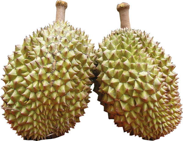 durian-monthong.jpg