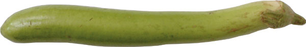 eggplant-green-long.jpg