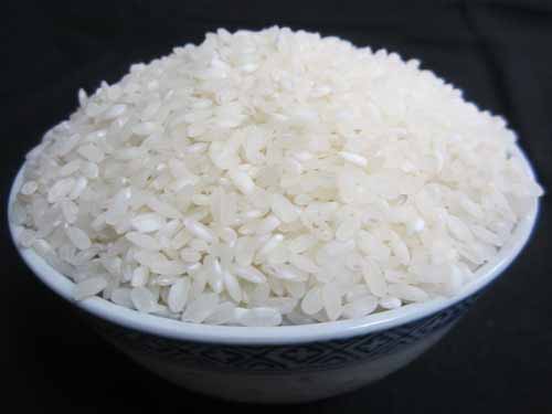 rice-japonica.jpg