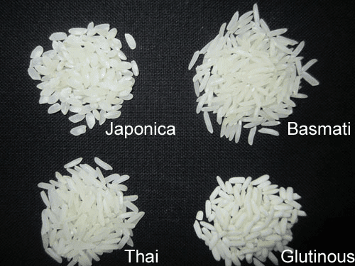 riz-rond-basmati-thai-gluant-2.png
