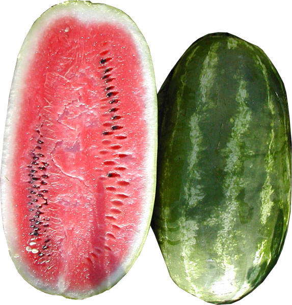 sweet-watermelon-sangria.jpg